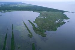 Louisiana wetlands aerial view.jpg