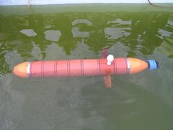 Maya AUV in a pool at NIO.jpg