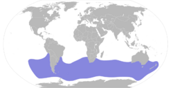 Pachyptila desolata map.svg