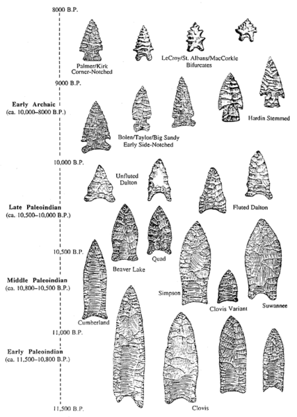 File:Projectile point types.png