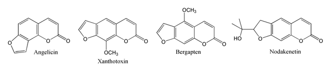Structures of angelicin, xanthotoxin, bergapten and nodekenetin