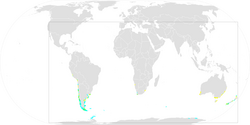 Southern Giant Petrel ebird data map.png
