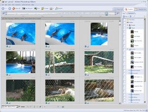 Adobe Photoshop Album screenshot.jpg