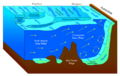 Antarctic bottom water