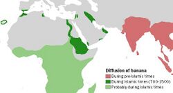 Map stating that banana cultivation occurred in pre-Islamic times in India and Southeast Asia, during the 700–1500 CE "Islamic period" along the Nile River and in Mesopotamia and Palestine, and less-certainly in sub-Saharan Africa during that same period