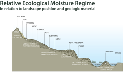 Landscape profile showing soil moisture regime categories along a gradient from rock hilltop to valley bottom