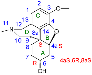 Galanthamine numbering scheme and stereocenters