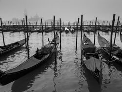 Black-and-white photo on a gray day. In the foreground, four long, narrow boats float side-by-side, left to right, each loosely moored to one of the four tall poles standing in the water (two to each side). Some 30 meters away, in the background, a further row of 15 or 16 gondolas can be seen similarly moored near a railed walkway on the far side. Buildings of Venice appear as distant shadows in the mist.