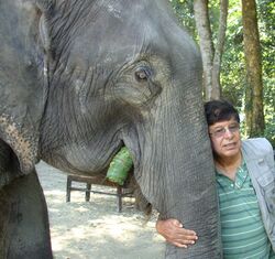 Hemanta Mishra hugging a Nepali elephant.jpg