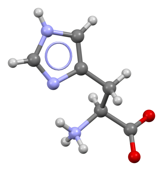 File:Histidine-from-xtal-3D-bs-17.png
