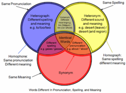 Homograph homophone venn diagram.png