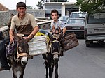 Kruja Albania - Donkeys.jpg
