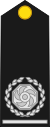 London Fire Brigade - Deputy Assistant Commissioner rank insignia.svg
