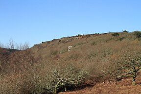 Lustleigh Cleave - geograph.org.uk - 2307066.jpg