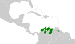 Myiarchus venezuelensis map.svg