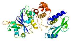 Protein SOCS2 PDB 2c9w.png