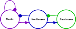 Simple 3-level trophic system.png