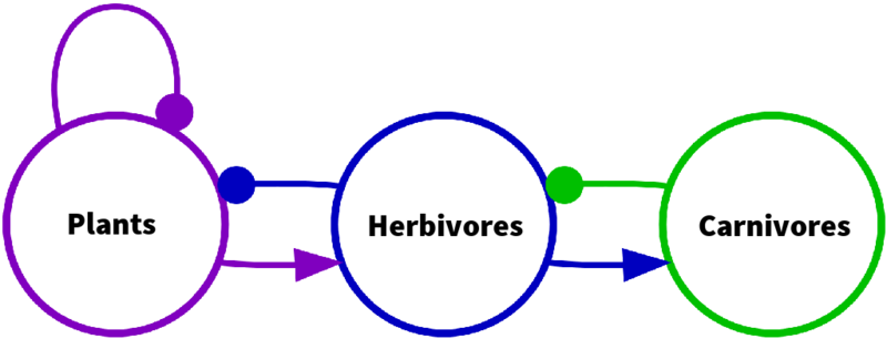 File:Simple 3-level trophic system.png