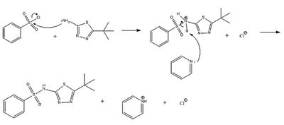 Reaction mechanism of the bimolecular nucleophilic substitution reaction in the synthesis of glybuzole from benzenesulfonyl chloride and 2-amino-5-tert-butyl-1,3,4-thiadiazole, using pyridine.