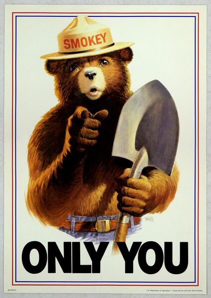 File:Uncle Sam style Smokey Bear Only You.jpg