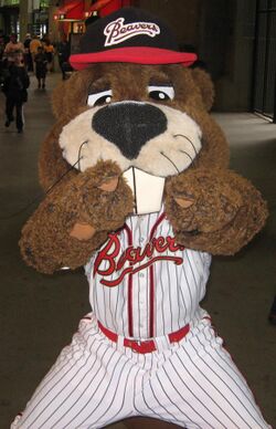 Boomer Beaver (cropped).jpg