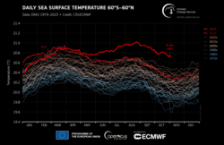 Daily Sea Surface Temperatures 60S-60N 1979-2023.png