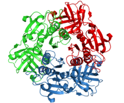 Fluorinase crystal structure.png