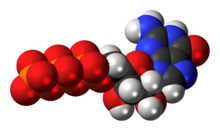 Space-filling model of the guanosine triphosphate anion