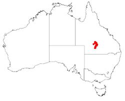 Hakea maconochieanaDistMap.jpg