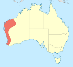 Ictinogomphus dobsoni distribution map.svg