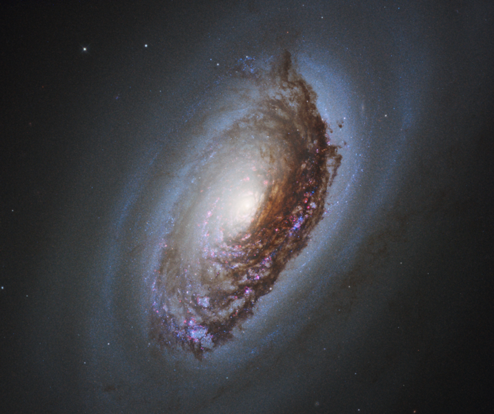 File:NGC 4826 - HST.png