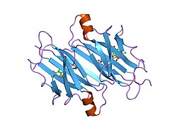 PDB 1thc EBI.jpg