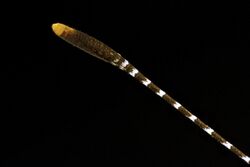 Phaeostrymon alcestis - soapberry hairstreak, antenna (17068088191).jpg