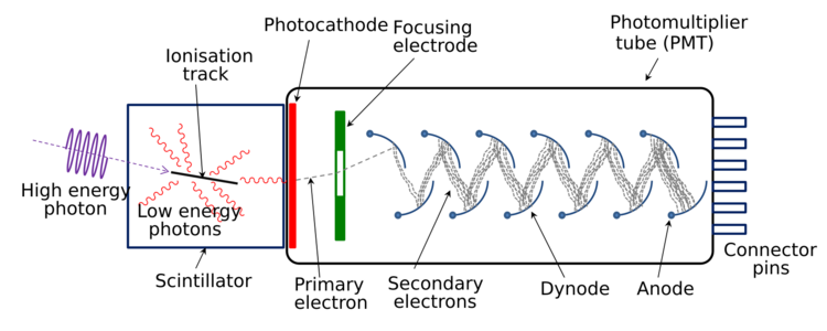 Physics:Photomultiplier tube - HandWiki