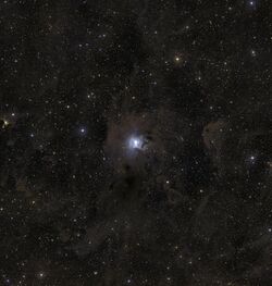 Region of NGC 7023 (Digitized Sky Survey 2).jpg