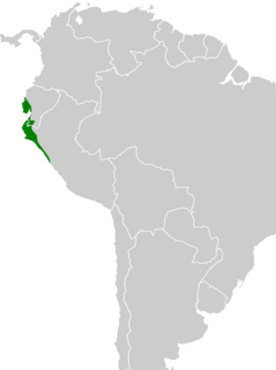 Thamnophilus bernardi map.svg