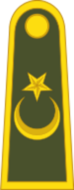 Turkey-Army-OF-10 (1933-1947).svg