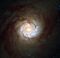 A hungry starburst galaxy.jpg