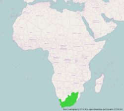 Afrika Verbreitungsgebiet Lamprotornis bicolor.png