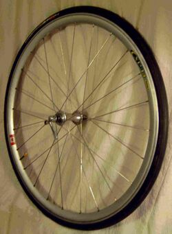 Bicycle wheel.jpg