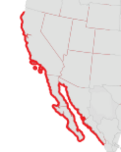 California sea hare range.svg