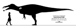 Cristatusaurus skeletal by PaleoGeek.png