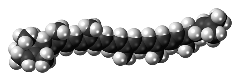 File:Delta-Carotene-3D-spacefill.png