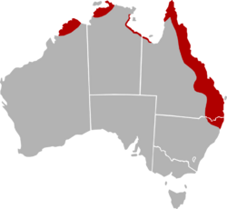 Distribution map of Cressida cressida in Australia.png