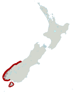 Fiordland Penguin distribution map.png