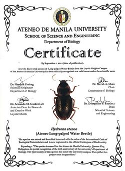 Hydraena ateneo certificate.jpg