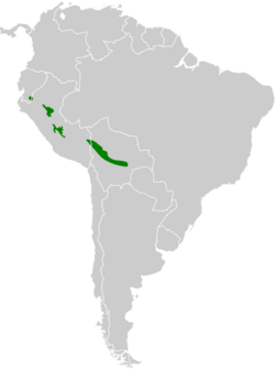 Myiornis albiventris map.svg