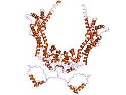 PDB 1ux4 EBI.jpg