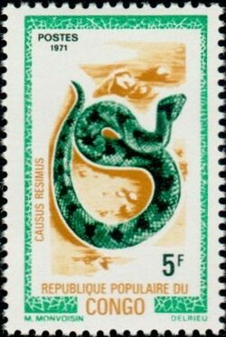 Stamp of Congo, Republic (Brazzaville) - 1971 - Colnect 259907 - Green Night Adder Causus resimus.jpeg