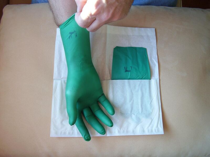 File:Surgical gloves 19.JPG